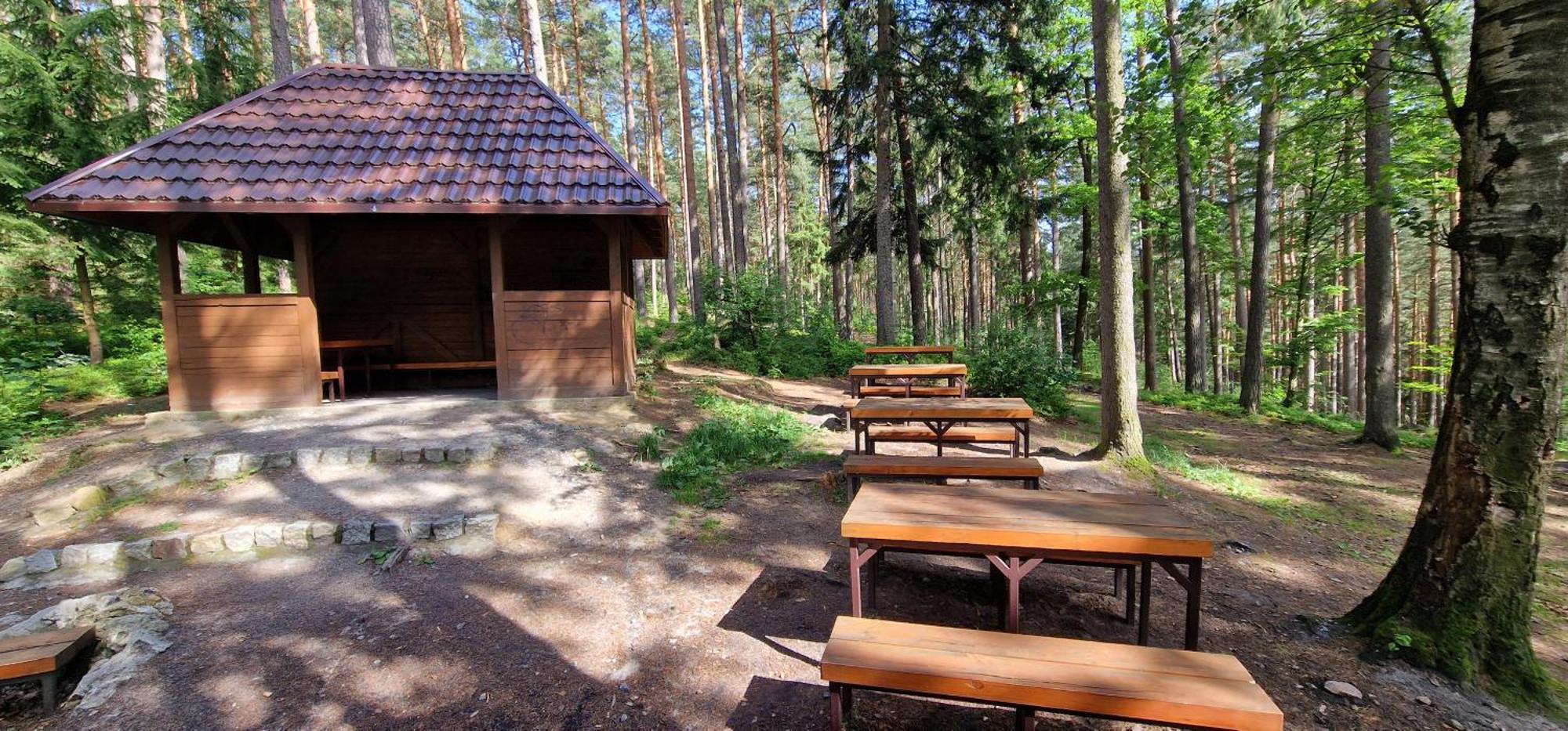 Lux Apartment Park Поляница-Здруй Экстерьер фото